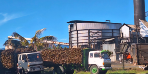 Rarawai Mill Reopens Tomorrow Following Successful Restoration Works