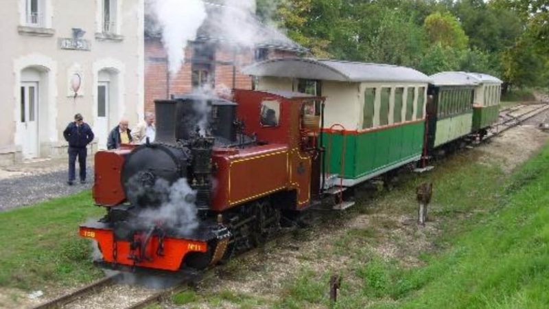 Train-Berry